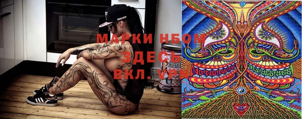 шишки Михайловск