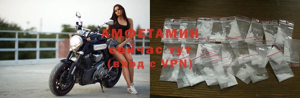 шишки Михайловск