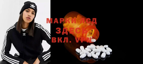 шишки Михайловск
