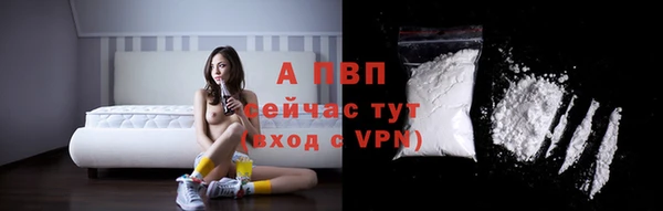шишки Михайловск