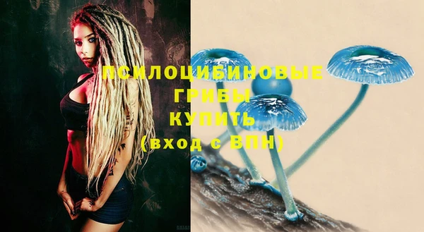 шишки Михайловск