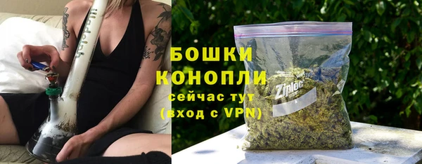 шишки Михайловск