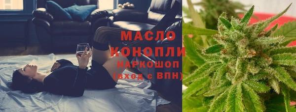 шишки Михайловск
